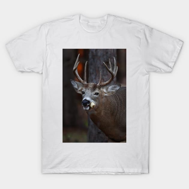 Gotta love corn - White-tailed Deer T-Shirt by Jim Cumming